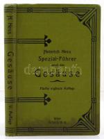 Hess, Heinrich: Spezialführer durch das Gesäuse und durch die Ennstaler Gebirge zwischen Admont und ...