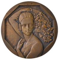 Franciaország ~1930-1940. "Tavasz" kétoldalas Br érem. Szign.: Robert Cochet (68mm) T:2 ph. France ~1930-1940. "Le Printemps (Spring)" two-sided Br medallion. "OFFERT PAR M. L. DE DIESBACH DÉPUTÉ" Sign.: Robert Cochet (68mm) C:XF edge error