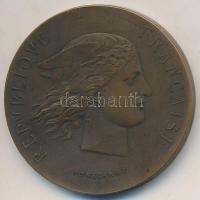 Franciaország 1871. "Másolatok Múzeuma megalapítása - Jules Simon, Charles Blanc" kétoldal...