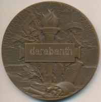 Franciaország ~1900. "Párizsi Egyetem" peremén jelzett kétoldalas Br érem. Szign.: F. Vern...