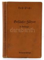 Heß, Heinrich - Pichl, Eduard: Führer durch das Gesäuse und durch die Ennstaler Gebirge zwischen Adm...