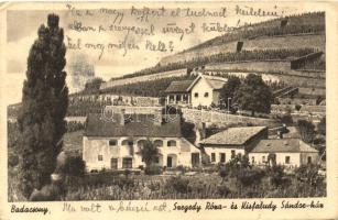 Badacsony, Szegedy Róza és Kisfaludy Sándor ház, szőlőhegy (fa)