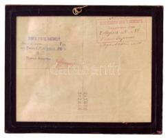 1917 A Tomszki Kormányzóság végrehajtó bizottságának szabad mozgást biztosító ideiglenes tartózkodás...