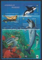 WWF: Tengeri élővilág blokk, WWF: Marine wildlife block