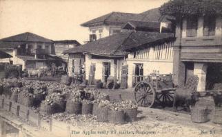 Singapore, Pineapples ready for market (EK)