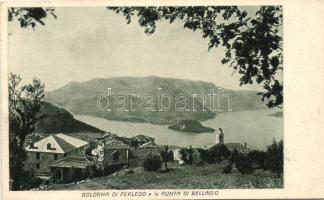 Perledo, Bologna di Perledo el la Punta di Bellagio / general view of the peninsula