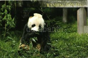 82 db MODERN képeslap, vegyesen motívum és városképes lapok, vegyes minőség / 82 modern postcards, a...