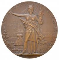 Franciaország 1897. "Félix Faure elnök" kétoldalas, peremen jelzett Br érem. Szign.: Jules...