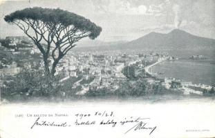 Naples, Napoli; general view with Mount Vesuvius