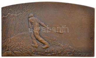 Franciaország ~1900. "Szántás" kétoldalas, peremen jelzett Br plakett. Szign.: Marie Alexa...