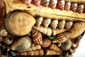 Kagylókkal díszített doboz, 12x16x10cm