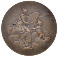 Franciaország 1900. "A Párizsi Verde emlékérme az új évszázadra" Br emlékérem. Szign.: Dan...