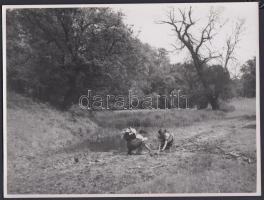 1933-1942 Tájképek Magyarországról(játék a Vértes vadonában, Salgóvár, Kilátás a Nagyszénásról, Máriamakk), 4 db feliratozott fotó, 23x18 cm