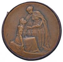 Franciaország ~1910. "Jótékonyság" kétoldalas, peremen jelzett Br érem. Szign.: Louis Desv...