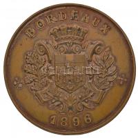 Franciaország 1896. "Francia Köztársaság / Bordeaux 1896" peremén jelzett Br emlékérem. Sz...