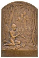 Franciaország 1906. "Bűvölő" kétoldalas, peremen jelzett Br plakett. Szign.: Marie Alexand...