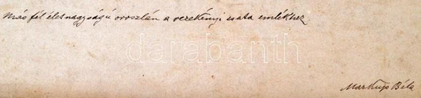 cca 1910-1920 A vezekényi csata emlékművéhez készített oroszlánszobor, készítette Markup Béla szobrá...