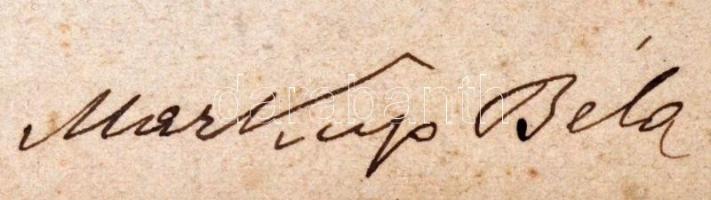 cca 1910-1920 A vezekényi csata emlékművéhez készített oroszlánszobor, készítette Markup Béla szobrá...