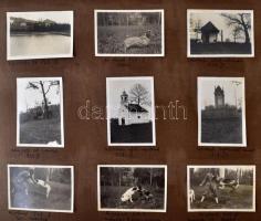 1923-1929 Családi fotóalbum debreceni, ligvándi, ladányi, alsópulyai, udvardi, helyszínekről, 161 db...