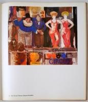 D Fehér Zsuzsa, Pogány Ö. Gábor: Magyar festészet a XX. században. Budapest, 1971, Corvina. Egészvás...