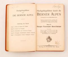Hochgebirgsführer durch die Berner Alpen IV.: Petersgrat - Finsteraarjoch - Unteres Studerjoch. Bern...