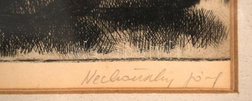 Nechánszky József (1936-): Pentelei part. Rézkarc, papír, jelzett, üvegezett keretben, 12×18 cm