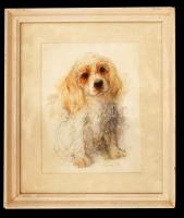 1976 Mads Stage (1922-2004): Kölyök spániel. Ofszet, papír, jelzett az ofszeten, üvegezett keretben,  21×15 cm