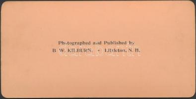 1899 New York, B. W. Kilburn sztereófotó, 9x18cm