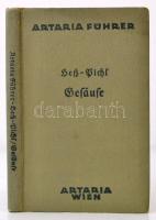 Heß, Heinrich - Pichl, Eduard: Gesäuse und Ennstaler Berge. Bécs, 1930, Artaria. Átnézeti térképekkel. Vászonkötésben, jó állapotban.