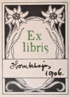 Gmelch, Joseph: Der Glossglockner. Stuttgart - Lipcse, 1906, Deutsche Verlags-Anstalt (Alpine Gipfel...