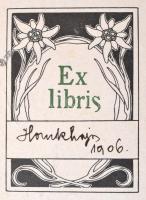 Niepmann, [Luise]: Der Ortler. Stuttgart - Lipcse, 1905, Deutsche Verlags-Anstalt (Alpine Gipfelführ...