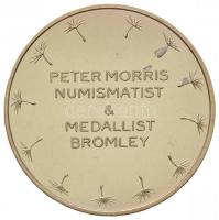 Nagy-Britannia 2000. "Millennium" aranyozott Br emlékérem dísztokban (38mm) T:PP felületi ...