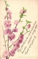 Flowers, Martin Rommel & Co. No. 524. (EK)