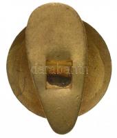 Törökország DN "Fenerbahce Ifjúsági Klub - 1907" zománcozott fém jelvény (17mm) T:2
Turke...