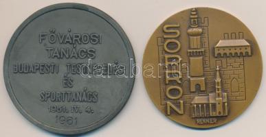 Iván István (1905-1968) 1953. "Fővárosi Tanács Budapesti Testnevelési és Sportbizottság / Váltó...