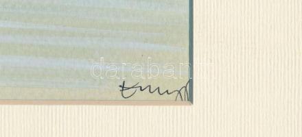 Enyingi Tamás (1964-2011): Balaton part. Akvarell, papír, jelzett, paszpartuban, 9×12,5 cm