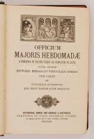 Officium majoris hebdomadae a dominica in Palmis usque ad sabbatum in Albis. Regensburg - Roma - New...