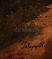 Telepy jelzéssel: Hegycsúcs. Olaj, karton, 59×77 cm