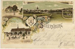 1899 Schernberg Litho