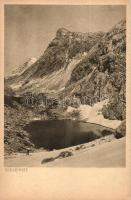 12 db RÉGI használatlan képeslap; német, osztrák és svájci hegyi tavak / 12 old unused postcards; German, Austrian and Swiss mountain lakes