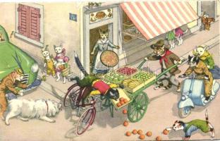 Max Künzli cat postcard No. 4752., bicycle accident (EK)