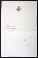 Budapest 1895. "Budapest vidéki Kőszénbánya és Ipar Részvény-Társaság" részvénye 100Ft-ról...