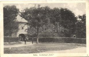 Dolha, Dovhe; Herrschaftsgut Teleki / mansion