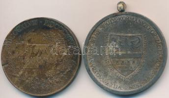 1898. "Jubileumi Emlékérem Fegyveres Erő Számára" Br kitüntetés mellszalag és fül nélkül, ...