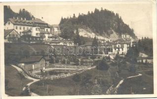 Gösing an der Mariazellerbahn, Foto-Anstalt J. Kuss 1924