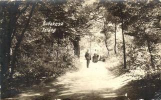 Budakeszi, Sétány, photo (kopott sarkak / worn edges)