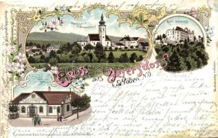 Gerersdorf, Ruine Hohenegg, Gemischtwarenhaus Peregrin Putz / castle ruins, shop, floral, Art Nouveau litho (cut)