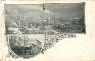 Nyustya-Likér, Hnústa-Likier; vasgyár, vasútállomás / iron works, railway station, floral (fa)