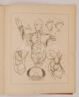 Stein János: Művészeti bonctan 1926. Bp. Kókai Lajos kiadása. Gyenge papírkötés, pár oldal elvált a ...