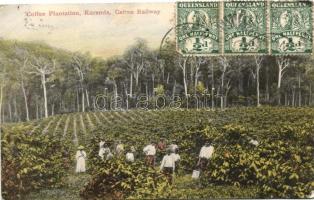 Kuranda, Coffee plantation, Cairns Railway (EK)